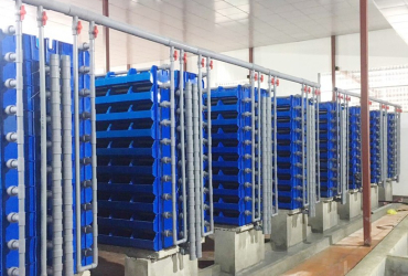 Nuôi cua biển trên cạn