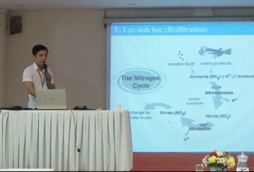 Hệ thống tuần hoàn trong nuôi trồng thủy sản