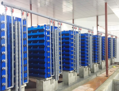 Nuôi cua biển trên cạn