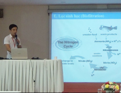 Hệ thống tuần hoàn trong nuôi trồng thủy sản